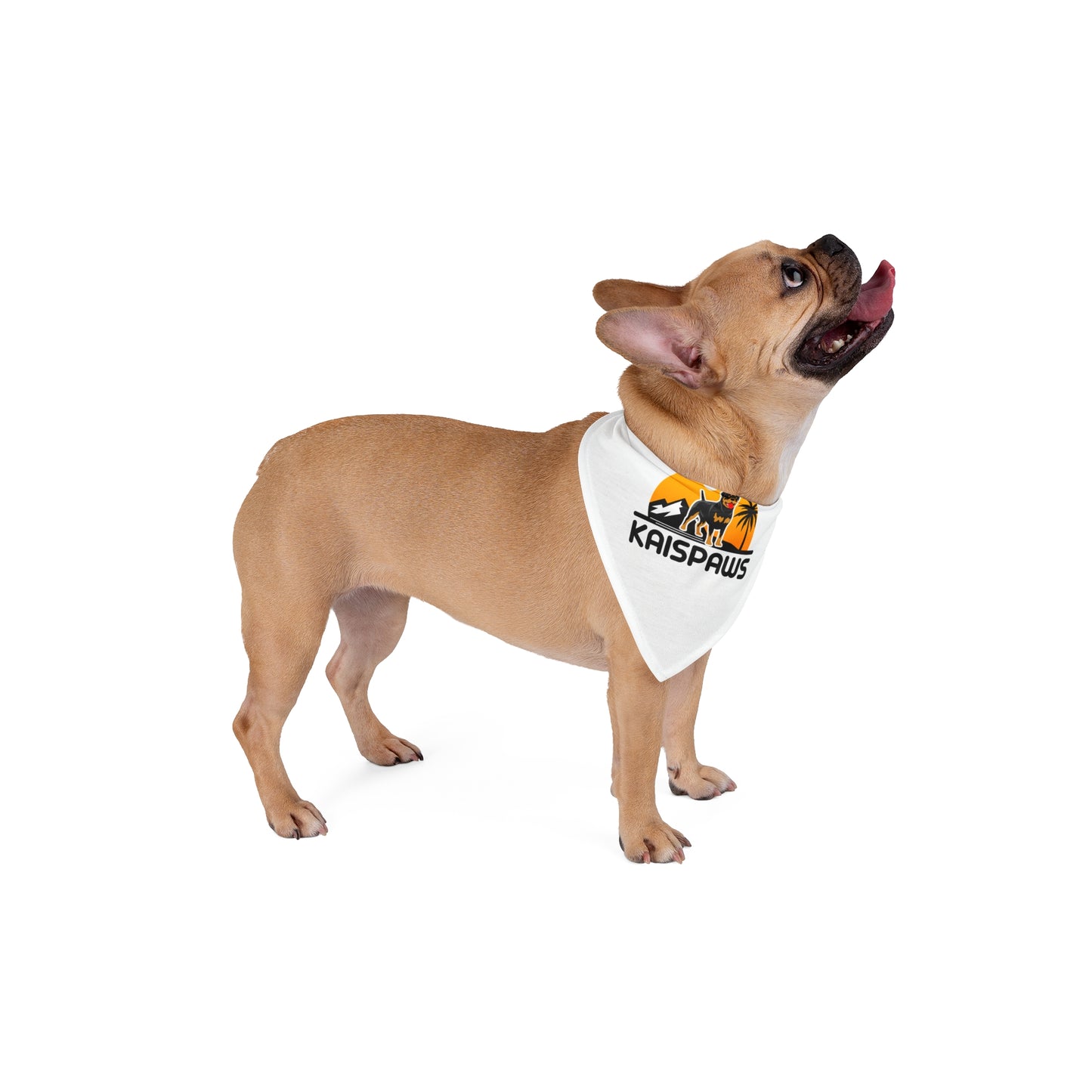 Pet Bandana - 'KAISPAWS' Dog Accessory