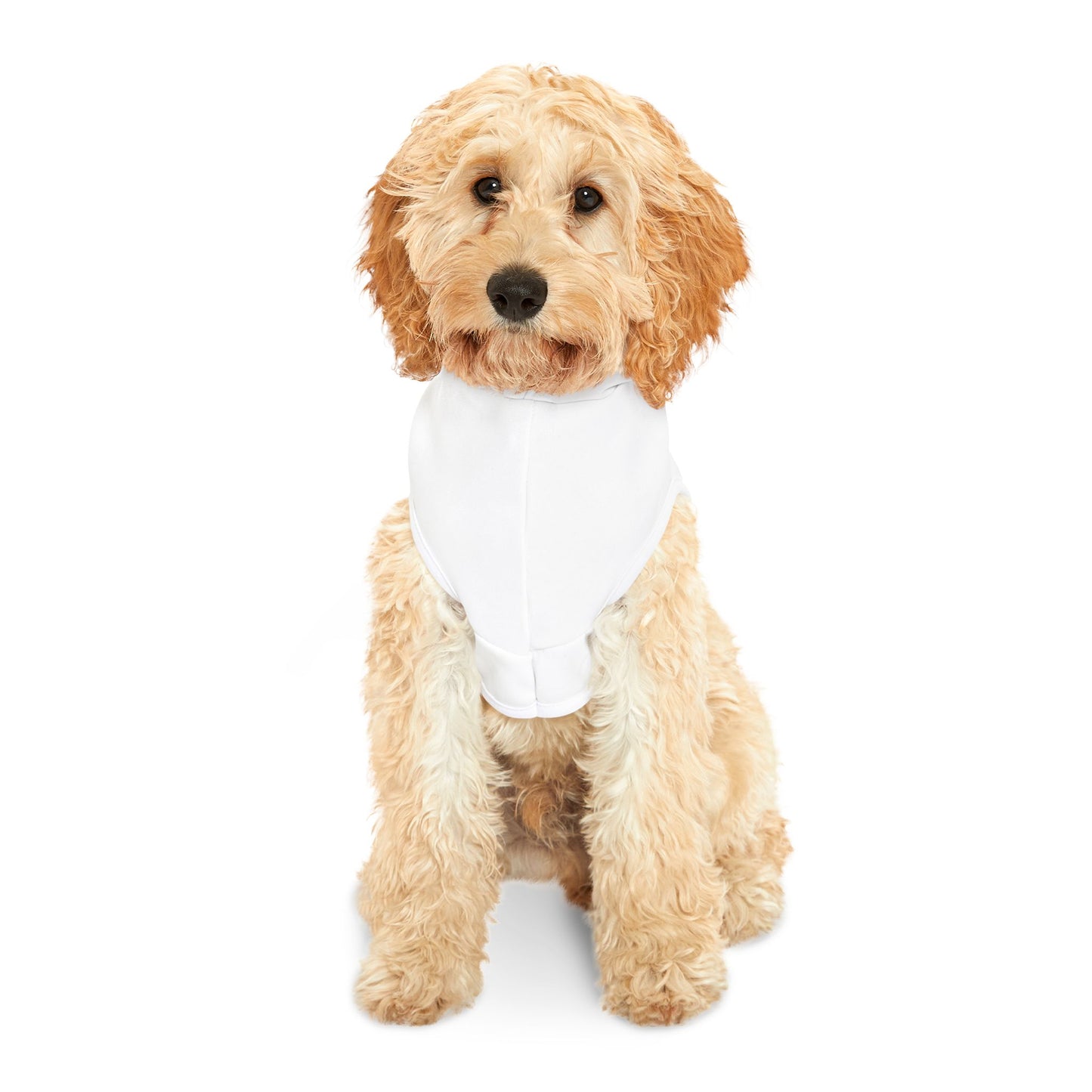 Custom Pet Hoodie with Playful Dog Design - Perfect for Pet Lovers!
