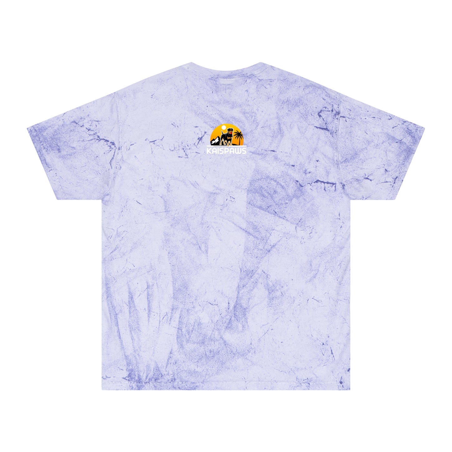 Pitt Love Women's Color Blast T-Shirt - Dog Lover Apparel